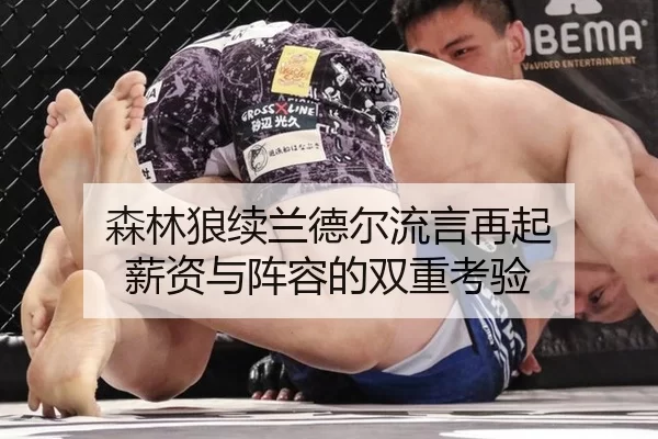 森林狼续兰德尔流言再起 薪资与阵容的双重考验